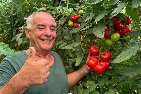 Unveiling unique items for various tomato market segments
