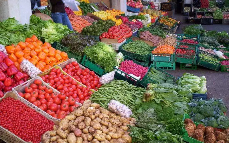 Les conséquences de la canicule sur les cultures maraîchères de Souss-Massa