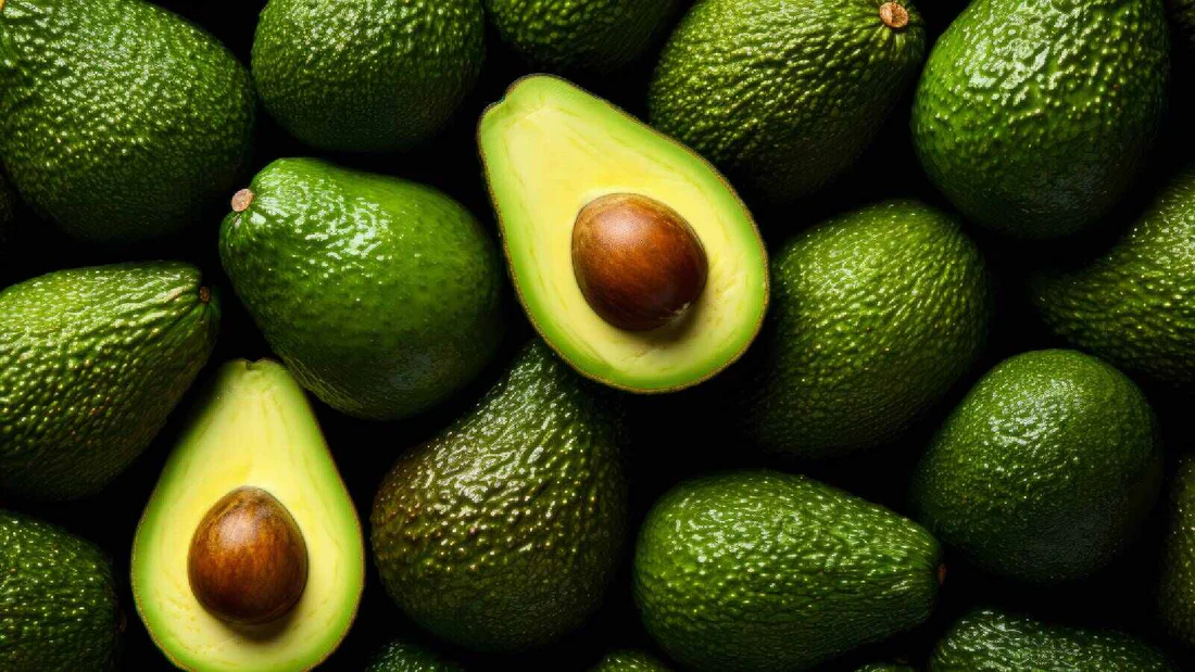 Morocco Breaks Avocado Export Record as Global Supply Grows
