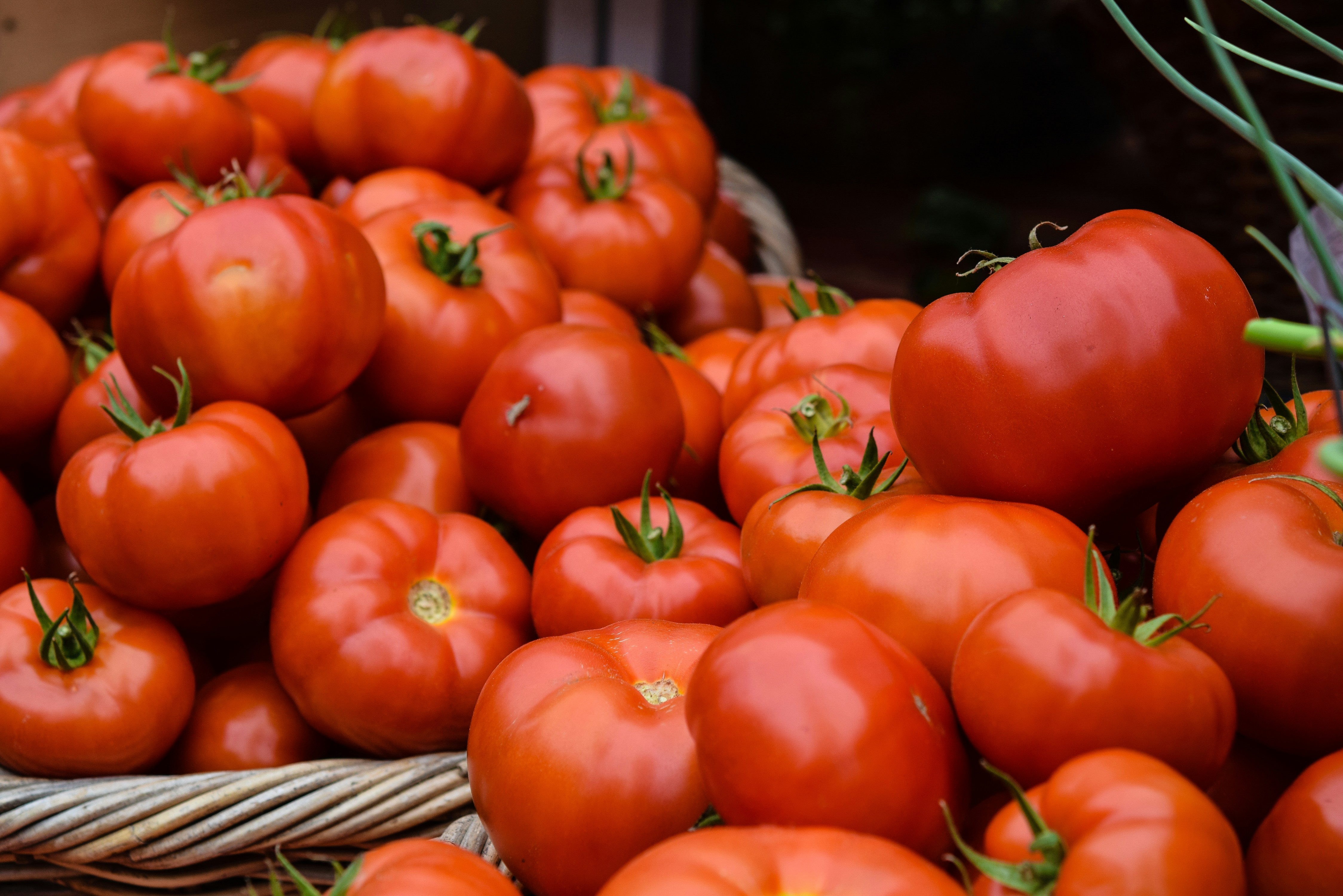 EU Confirms Moroccan Tomato Imports Follow Trade Rules