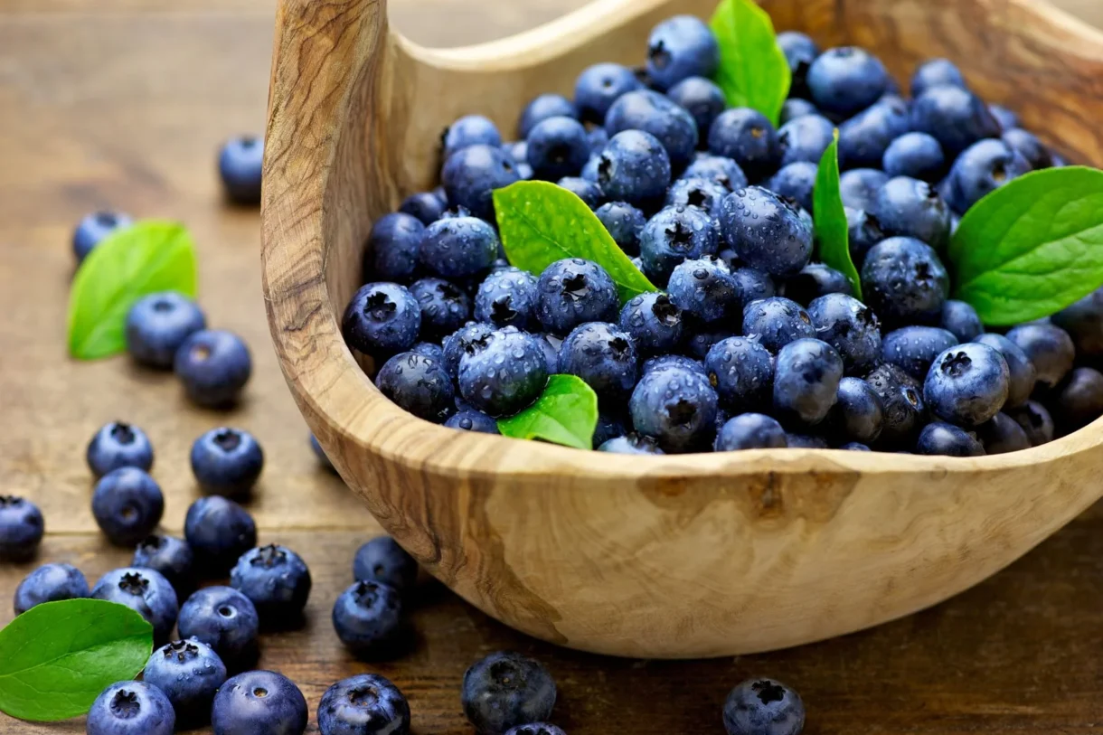 "We expect Moroccan blueberry exports to increase by 20% this season"