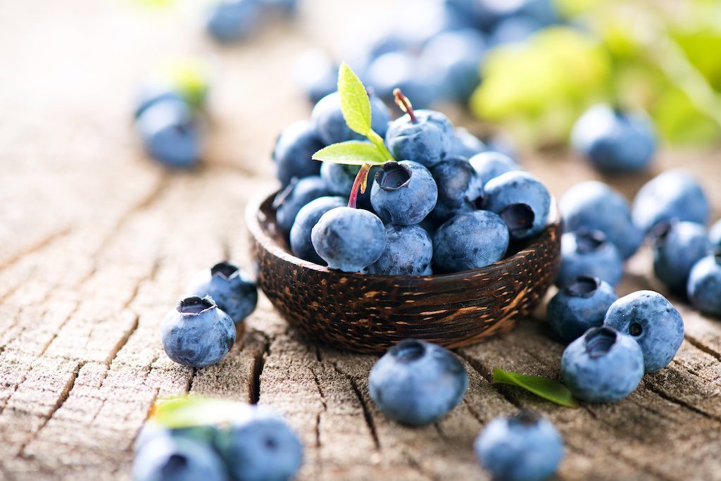 The pros and cons of the blueberry industry in Mexico