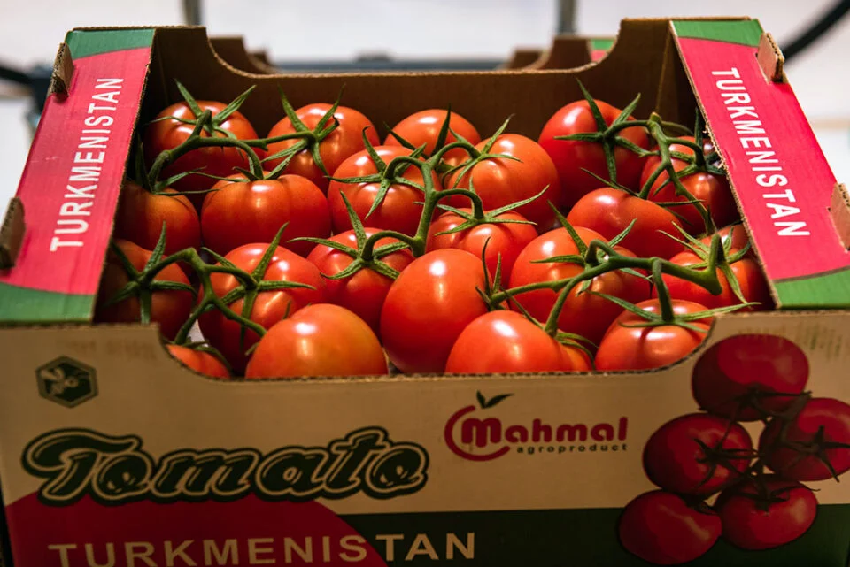 Turkmenistan's greenhouse growth extends to exporting tomatoes to Uzbekistan