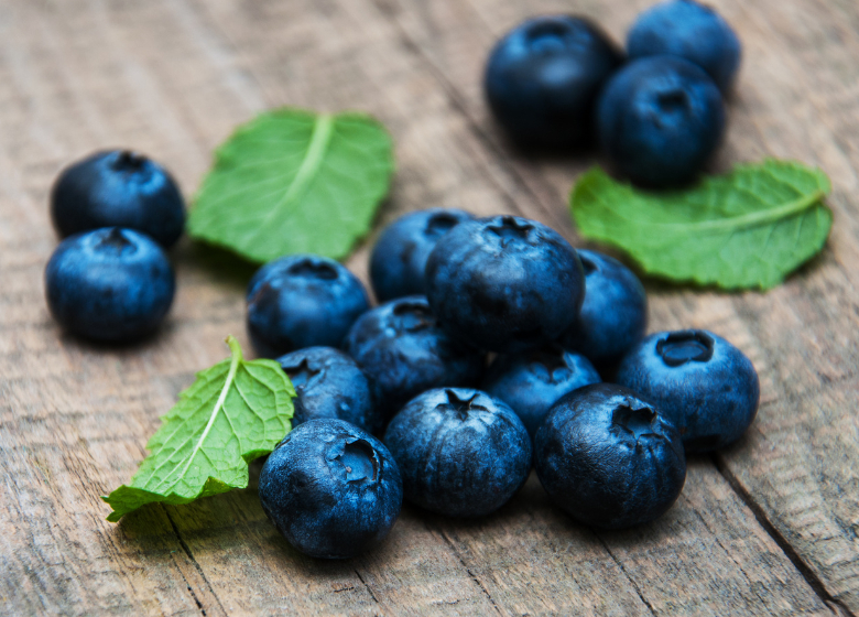 The surge of blueberry cultivation from Morocco in Southeast Asia