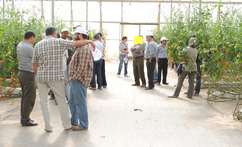 Workshop: Positioning and differentiating your products