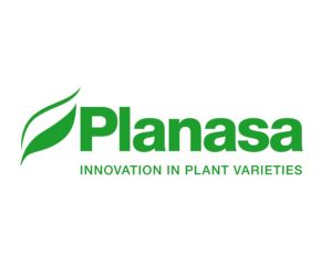 Planasa