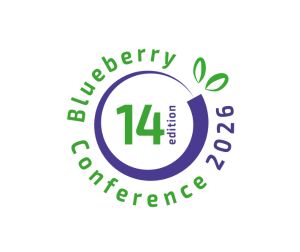 Blueberry Conference 2026 - 14e logo