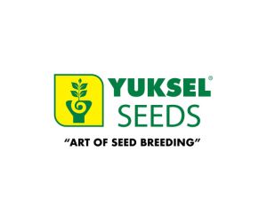 Yuksel seeds logo