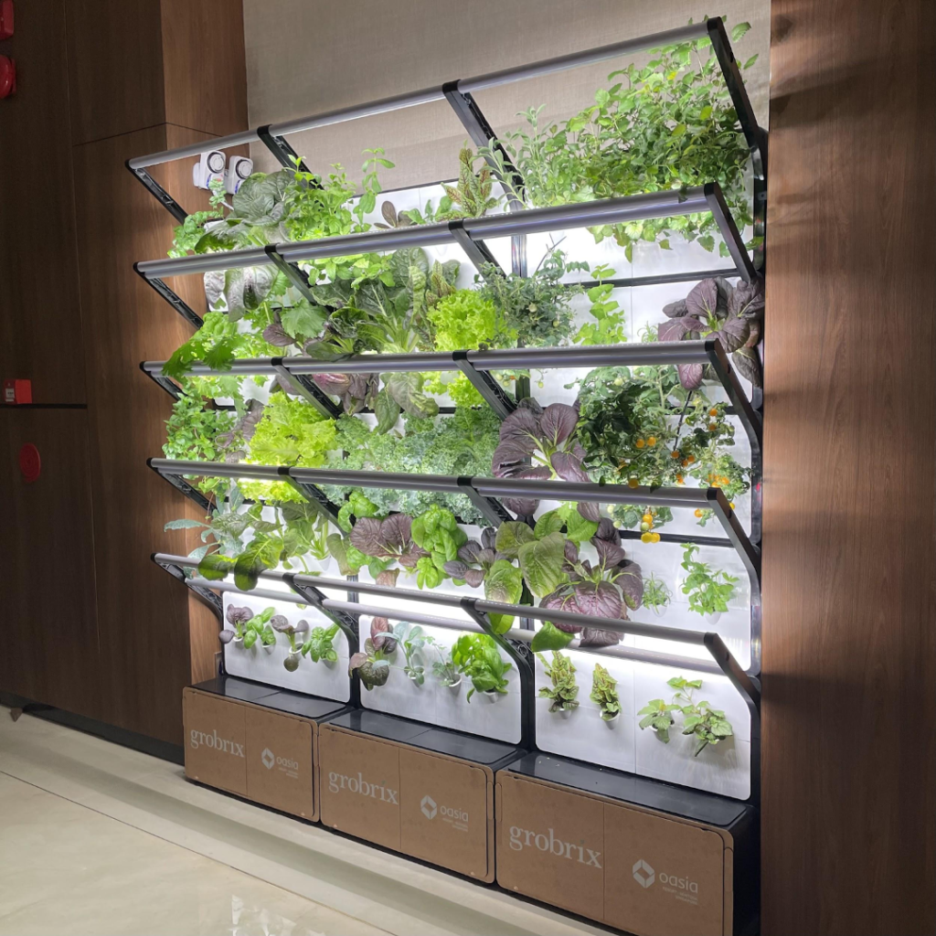 Grobrix’s modular, edible green wall. courtesy of Grobrix.