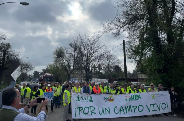 Manifestation organisée par l'ASAJA, l'UPA, la COAG et les Cooperativas Agro-alimentarias de Andalucía le 20 mars à Séville.